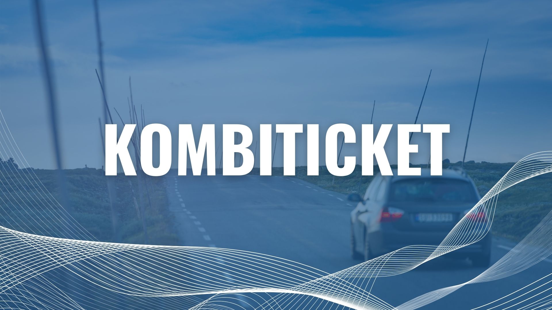 Estland Kombiticket